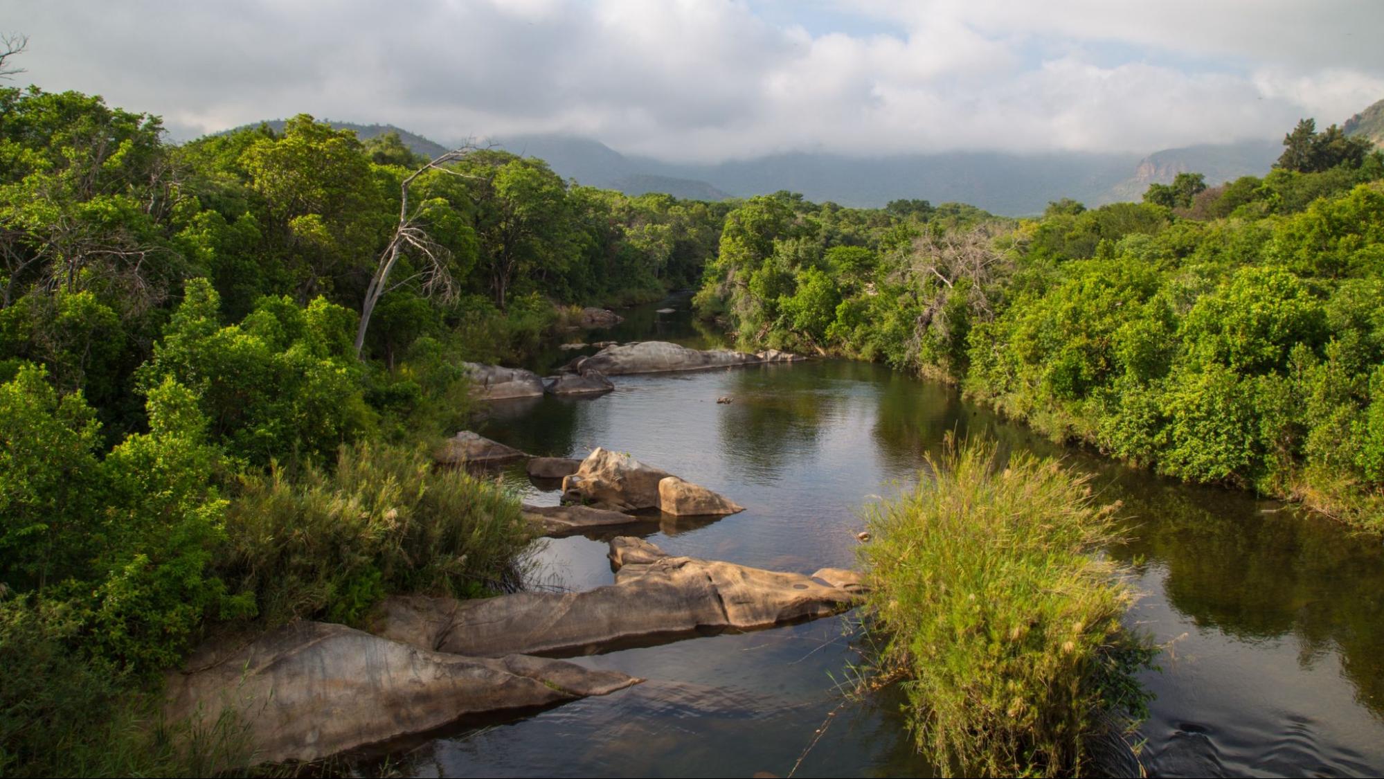 Limpopo Northeastern South Africa