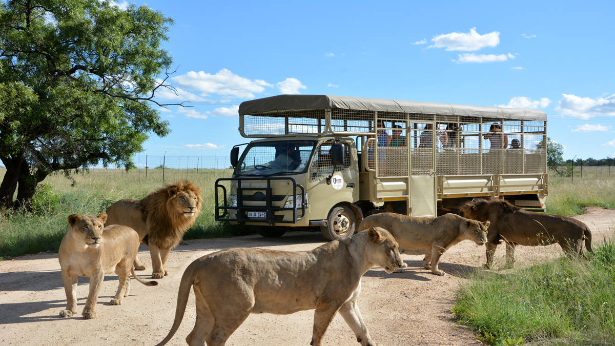 Additional things to do in Johannesburg, depending on your interests
