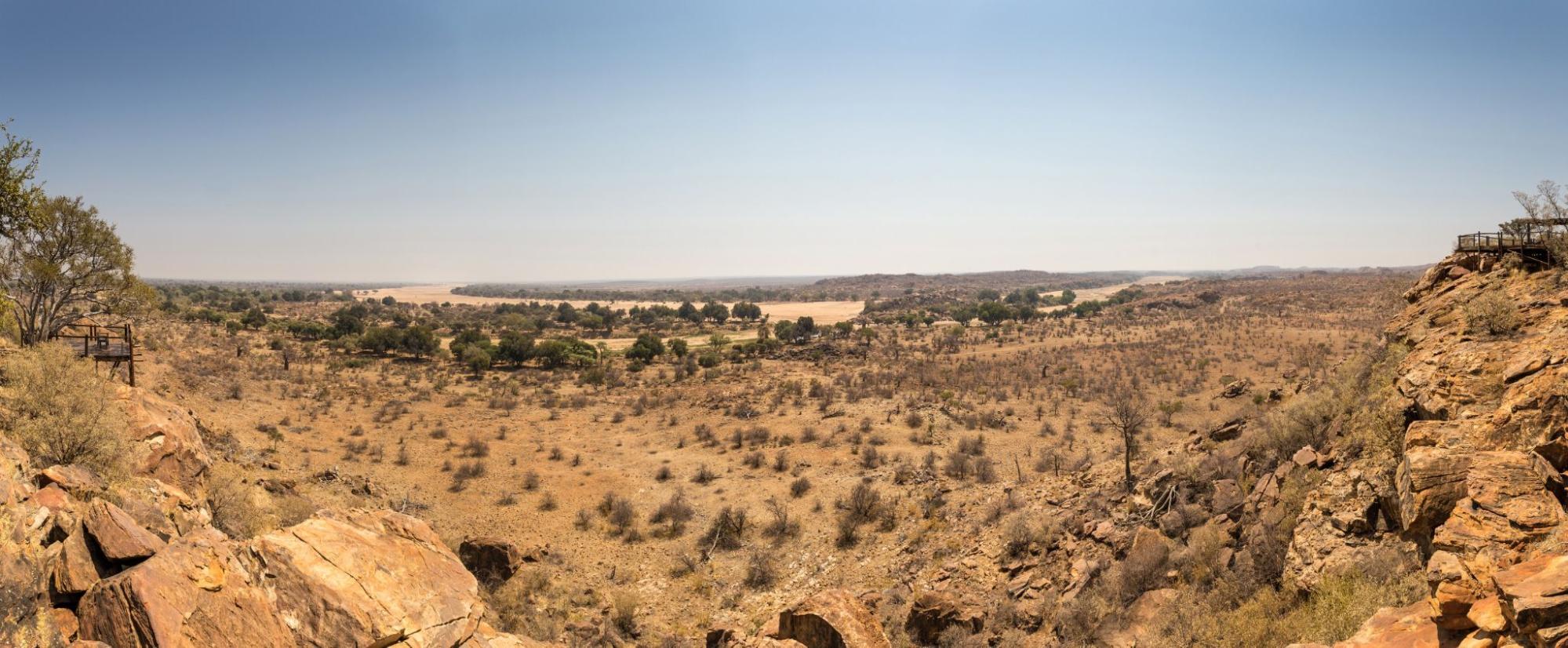Panorama of Desert Landscape with Dry River Bed in Mapungubwe National Park