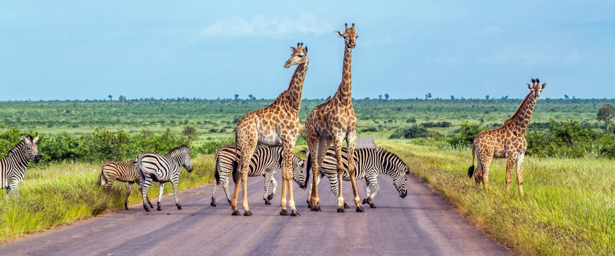 Benefits of Being a South Africa Visa-Exempt Passport Holder